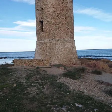 Il Giglio Del Mare